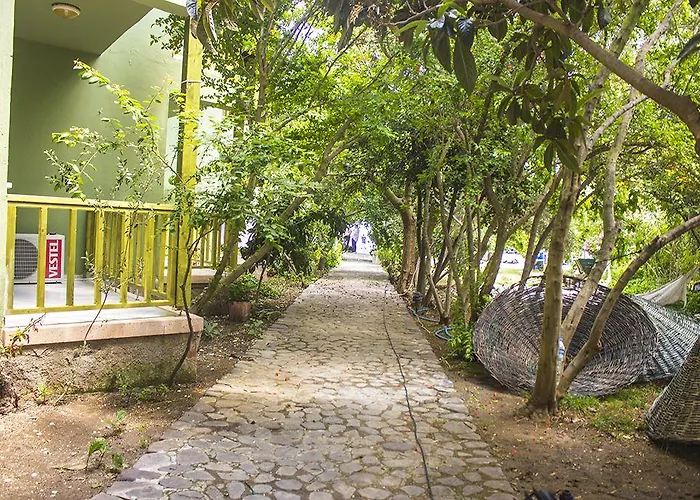 Sokakagzi מלון Ayvacik (Canakkale)